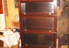 01-Thonet-sektorova-knihovna