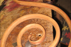 Houpaci-k²eslo-Fischel-3