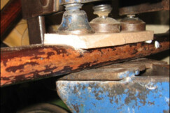 Houpaci-k²eslo-Fischel-5