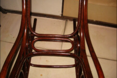 Houpaci-k²eslo-Fischel-7