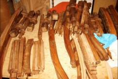 05-zidle-historismus-postup-restaurovani